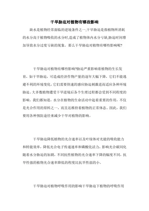干旱胁迫对植物有哪些影响