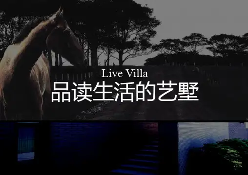 2019年最新-龙湖地产西安大唐不夜城项目广告推广策略案-精选文档