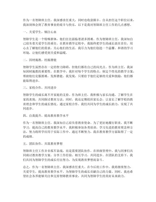 智障班主任工作感想