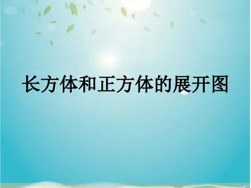 六年级上册数学课件-1.2 长方体和正方体的展开图丨苏教版 (共44张PPT)