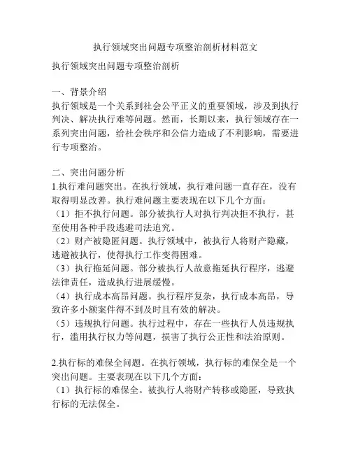 执行领域突出问题专项整治剖析材料范文