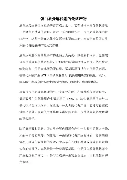 蛋白质分解代谢的最终产物