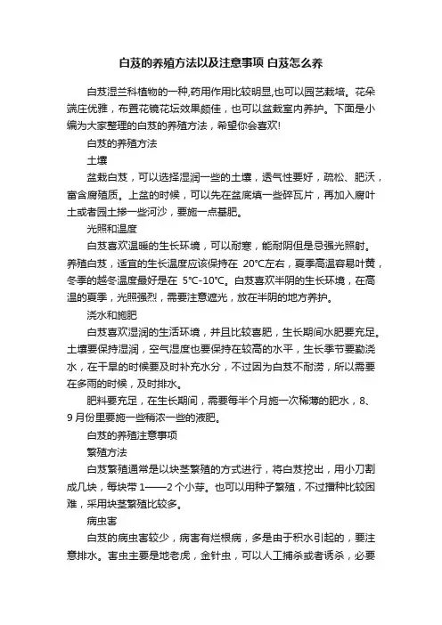 白芨的养殖方法以及注意事项白芨怎么养