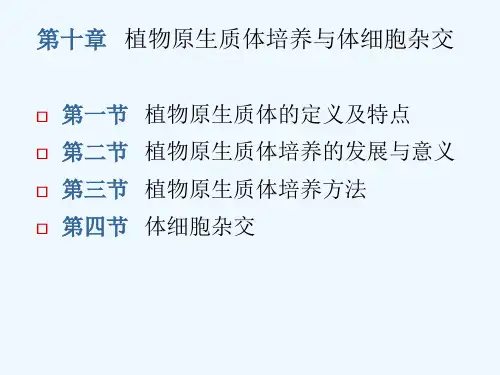 第八章第九章植物原生质体培养与体细胞杂交ppt课件