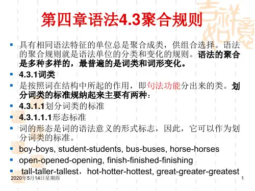 语言学概论讲义第四章 语法四