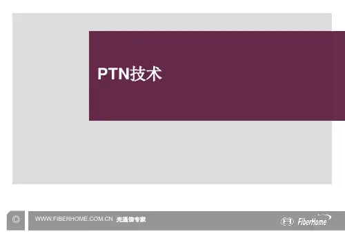 PTN技术