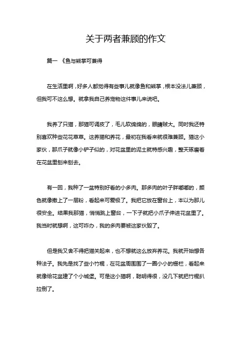 关于两者兼顾的作文