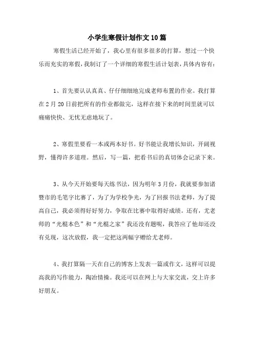 2020年小学生寒假计划作文10篇