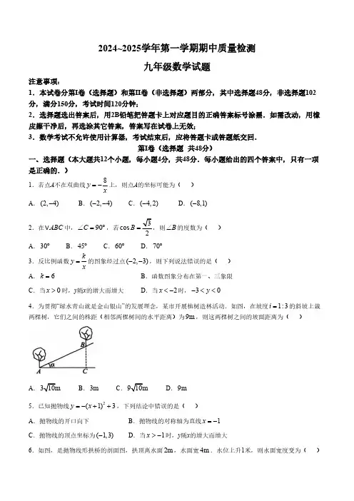 山东省泰安市东平县2024-2025学年九年级上学期11月期中考试数学试题(含答案)