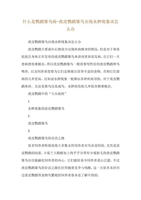 什么是鹦鹉雏鸟病-虎皮鹦鹉雏鸟出现水肿现象该怎么办