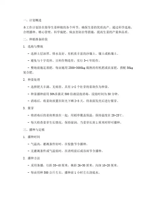生姜种植技术工作计划模板