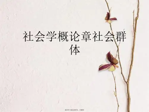 社会学概论章社会群体