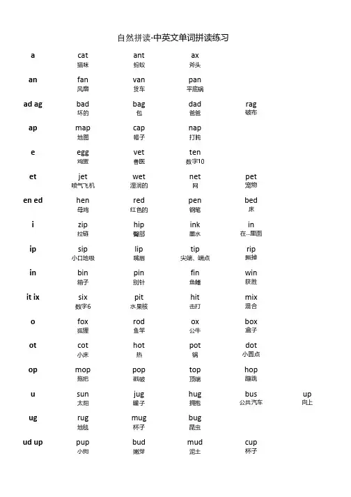 自然拼读单词练习