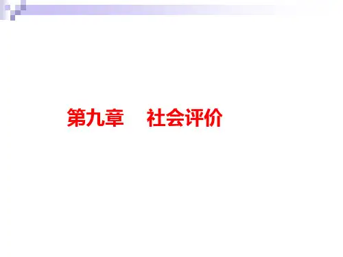 项目决策分析与评价讲义第九章社会评价