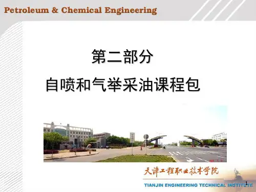 自喷井的结构及工艺流程
