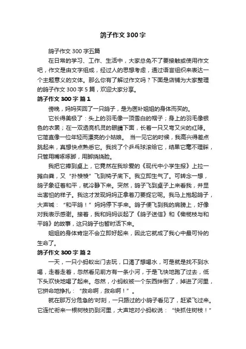 鸽子作文300字