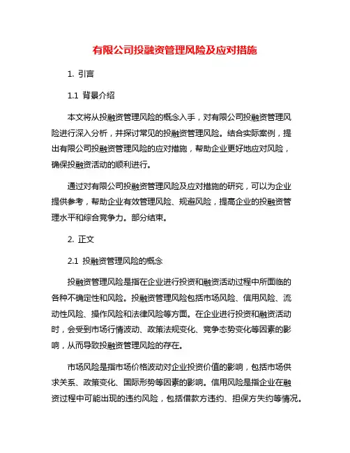 有限公司投融资管理风险及应对措施