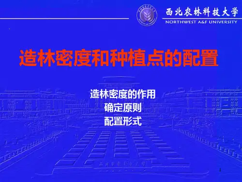 造林密度和种植点的配置PPT课件