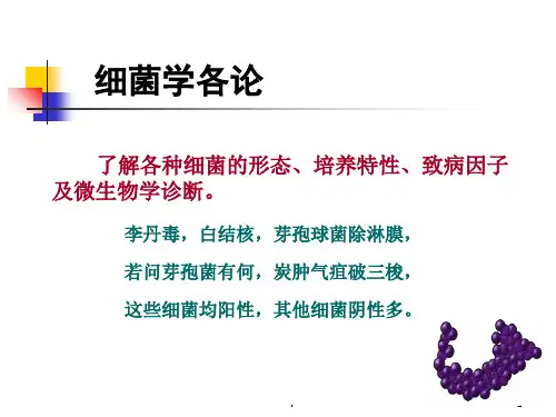 革兰阳性球菌PPT课件