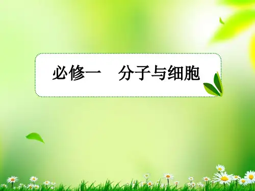 高考生物一轮复习 第3讲 能量之源光与光合作用课件 新人教版必修1