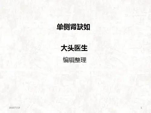 单侧肾缺如PPT课件