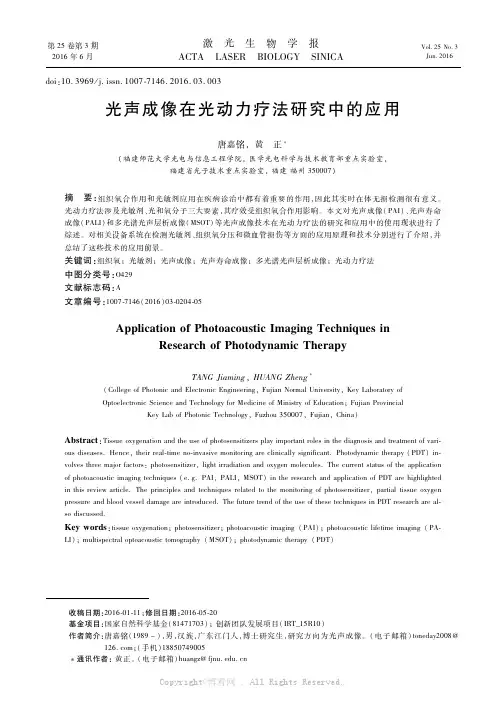光声成像在光动力疗法研究中的应用