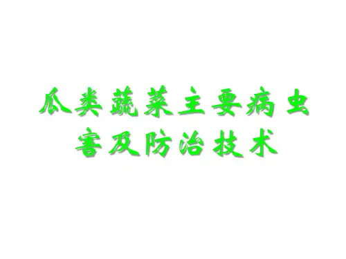 瓜类病虫害介绍及防治