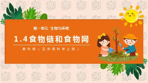 食物链和食物网ppt
