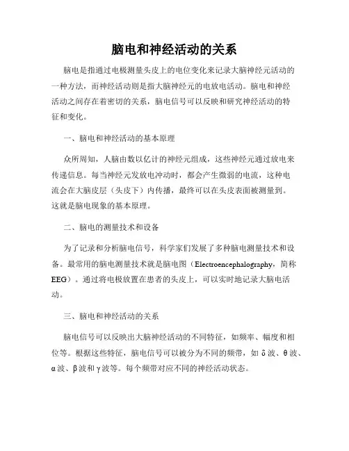 脑电和神经活动的关系