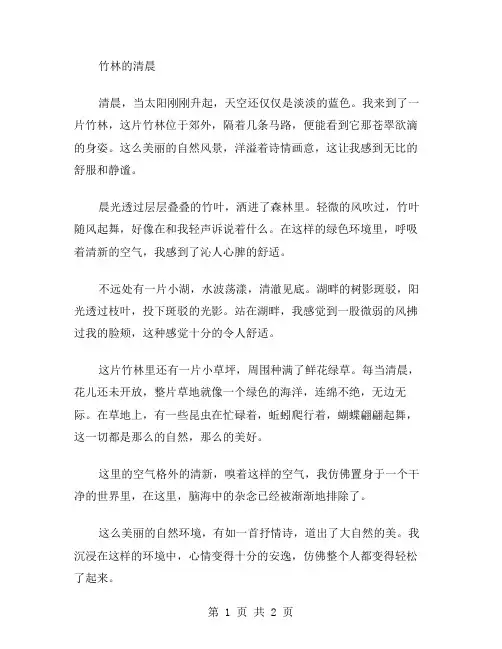 竹林的清晨作文范文