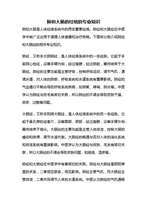 肺和大肠的经络的专业知识