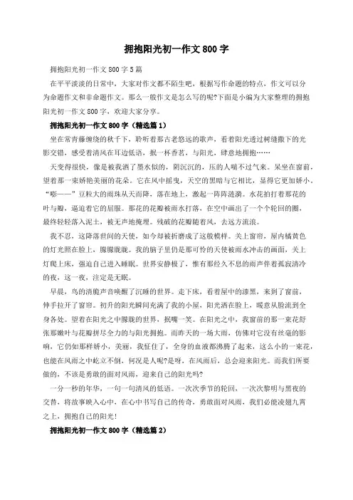 拥抱阳光初一作文800字