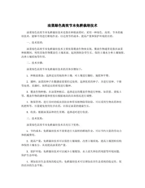 油菜绿色高效节本免耕栽培技术