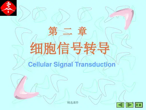 细胞信号转导课件