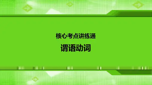 高中英语语法：谓语动词
