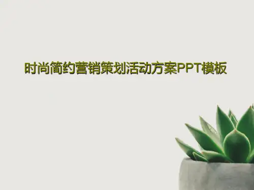 时尚简约营销策划活动方案PPT模板共27页
