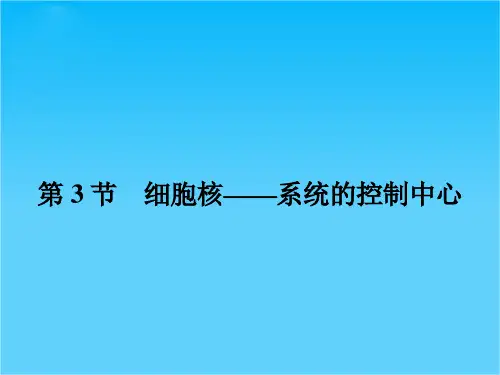 人教版高中生物必修一课件 第三章细胞的基本结构 3.3  细胞核——系统的控制中心