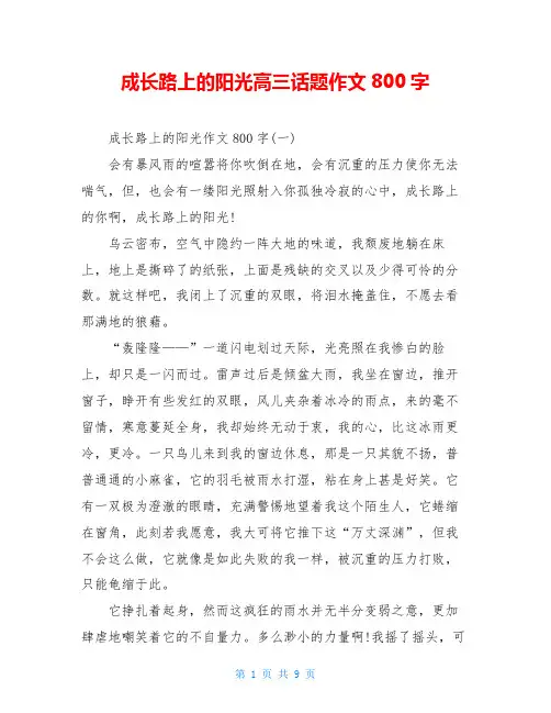 成长路上的阳光高三话题作文800字
