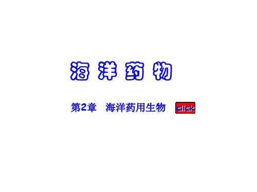 海洋药用生物第6节