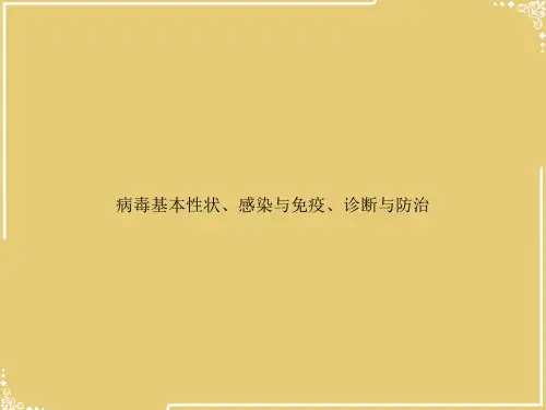 病毒基本性状、感染与免疫、诊断与防治【共58张PPT】