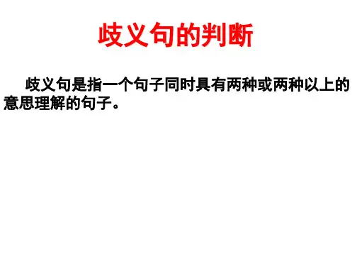 歧义句子