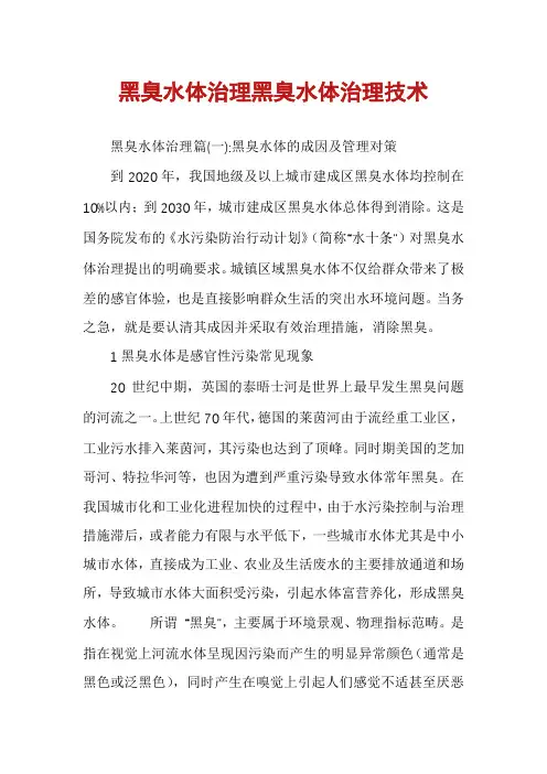 黑臭水体治理黑臭水体治理技术