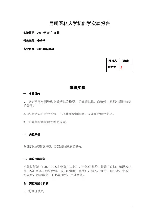 缺氧实验