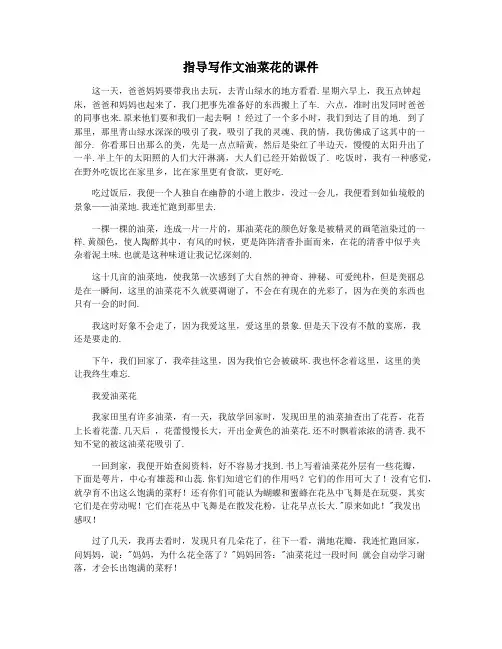 指导写作文油菜花的课件