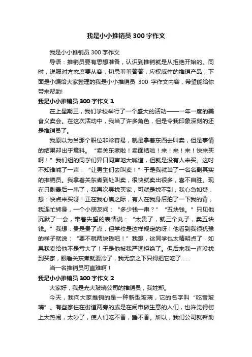 我是小小推销员300字作文