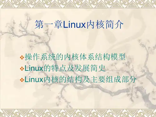 Linux内核.ppt