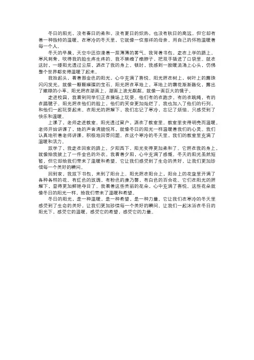 冬日的暖阳