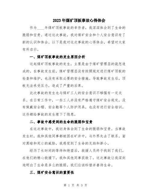 2023年煤矿顶板事故心得体会