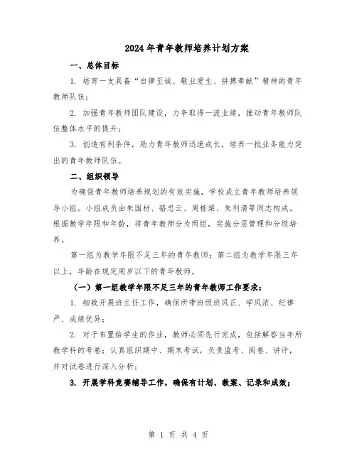 2024年青年教师培养计划方案（二篇）
