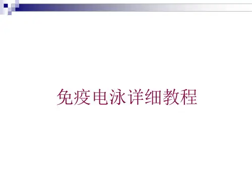 免疫电泳详细教程培训ppt课件
